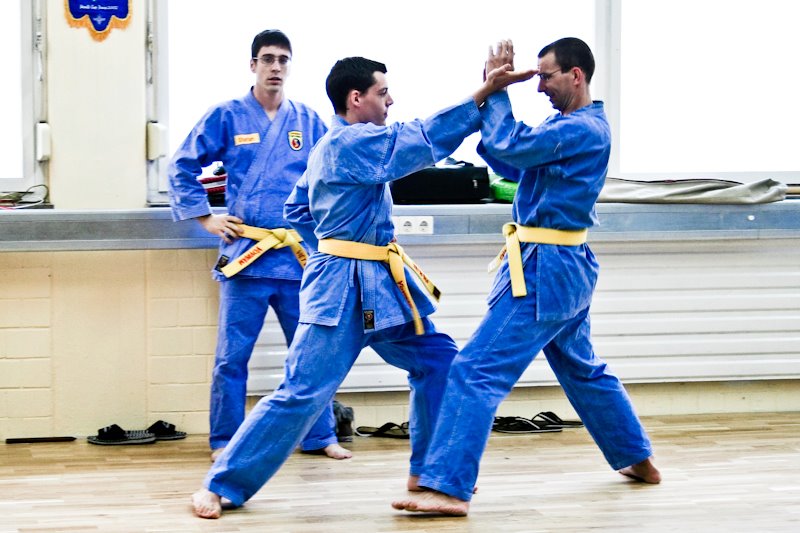 Kampfkunsttraining für Erwachsene und Jugendliche