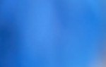 cropped-blackbelt-600x3001.jpg